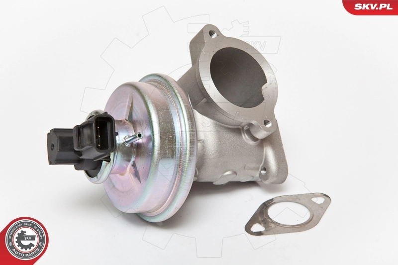 EGR Valve